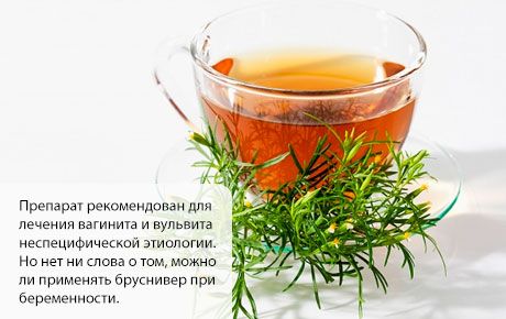 Бруснивер по време на бременност