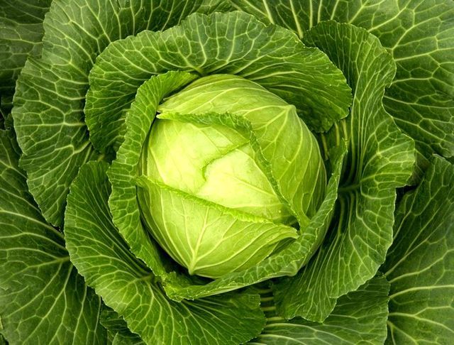 Най-добрите продукти за отслабване и красота