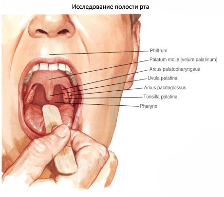 Небе