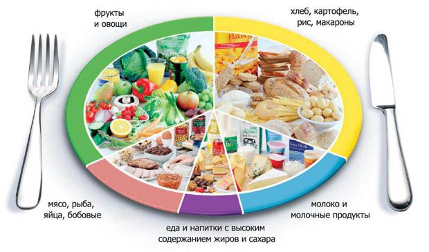 Защо се нуждаем от протеини, въглехидрати и мазнини?