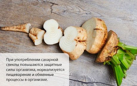 Захарно цвекло