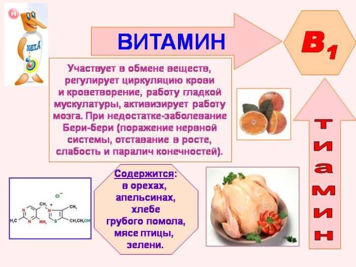 Свойствата на витамин В1